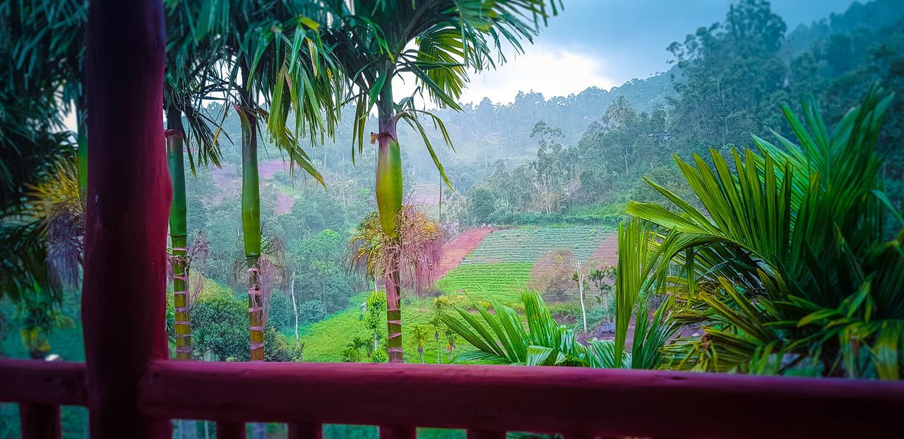 Marvellous Homestay Ella