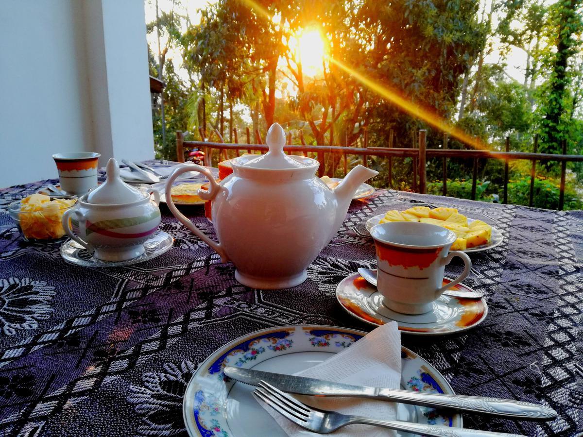 Pearl View Guest house