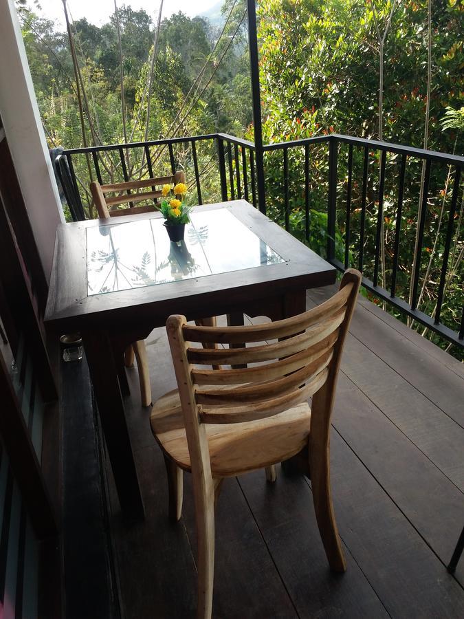 Homestay Lushy