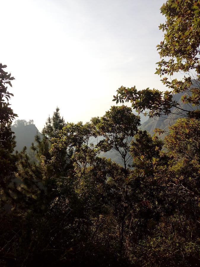 Hidden Hill Homestay *