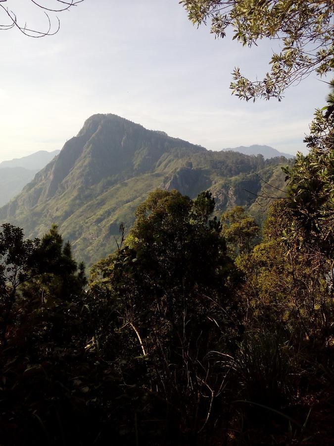 Homestay Hidden Hill