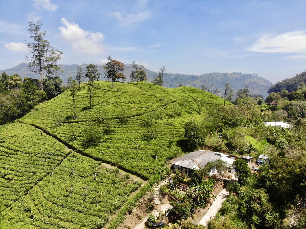 Tunnel Gap Homestay