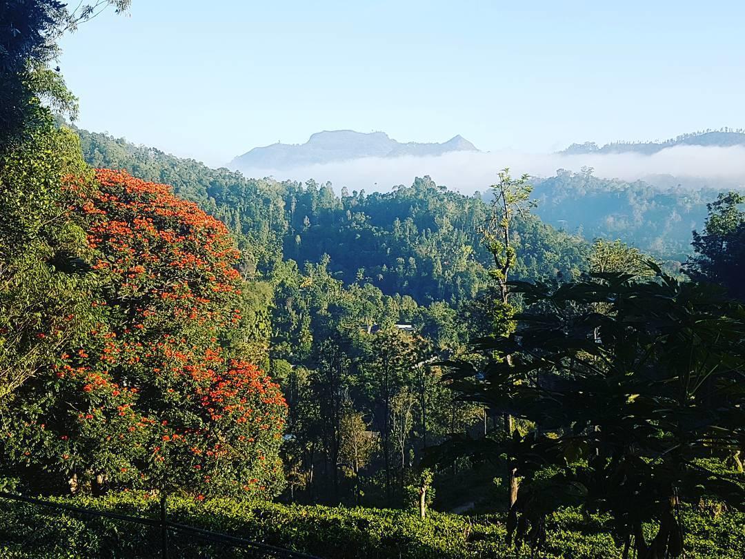 Villa Sithara Estate *