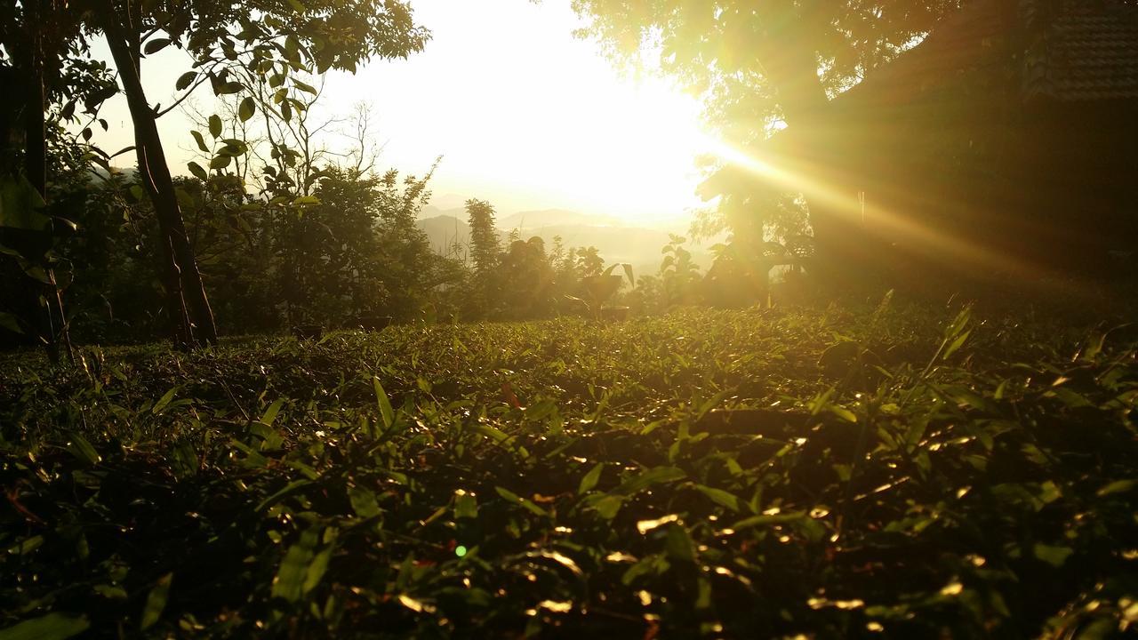 Lodge Pepper Hills *