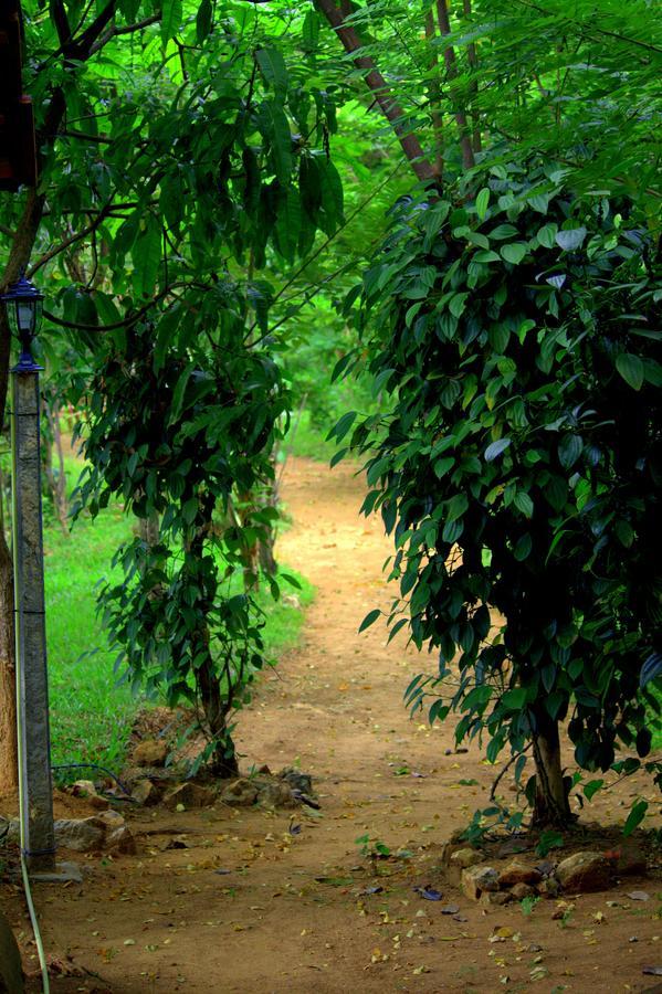 Pepper Hills Lodge *