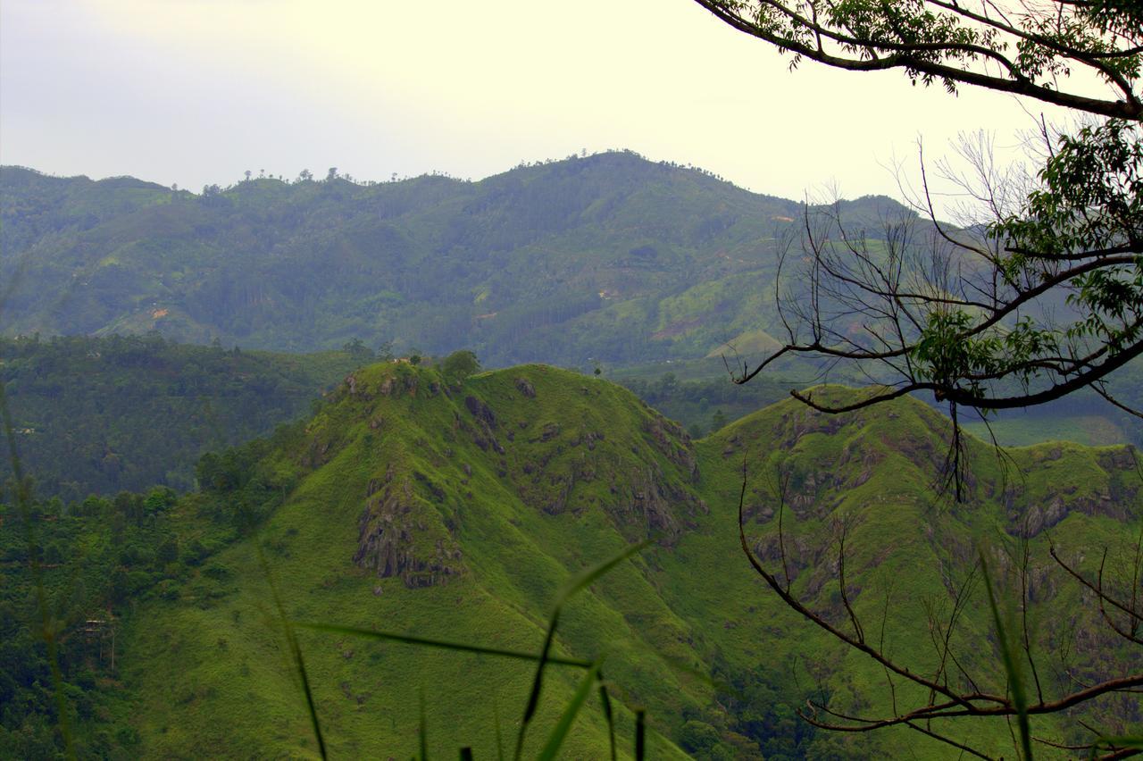 Lodge Pepper Hills *