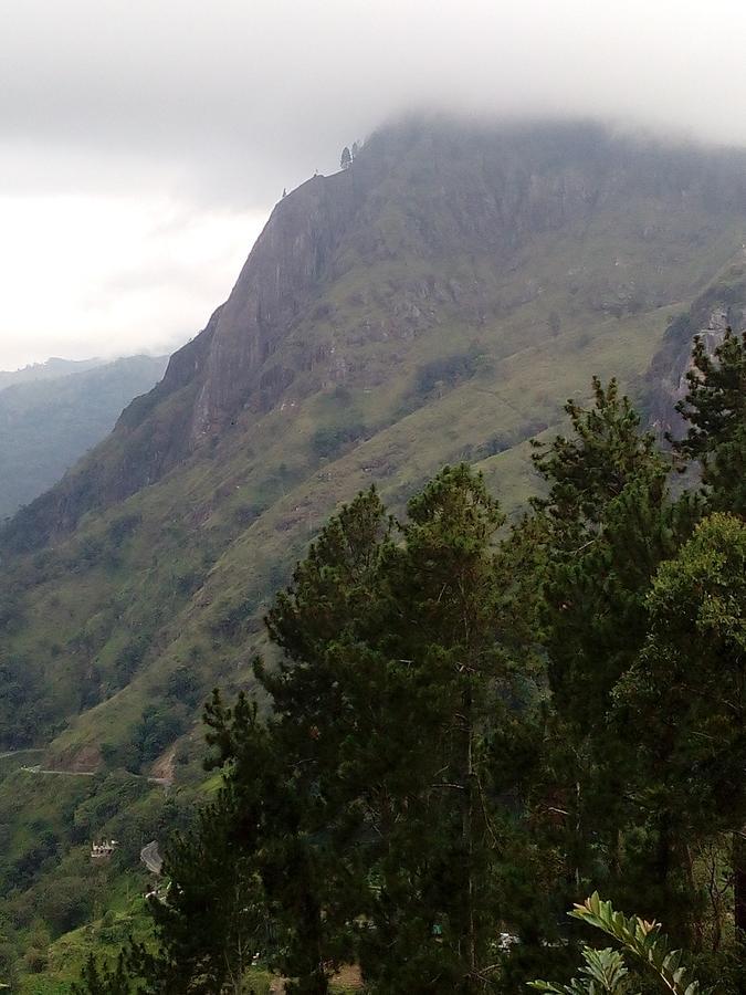 Homestay Hidden Hill