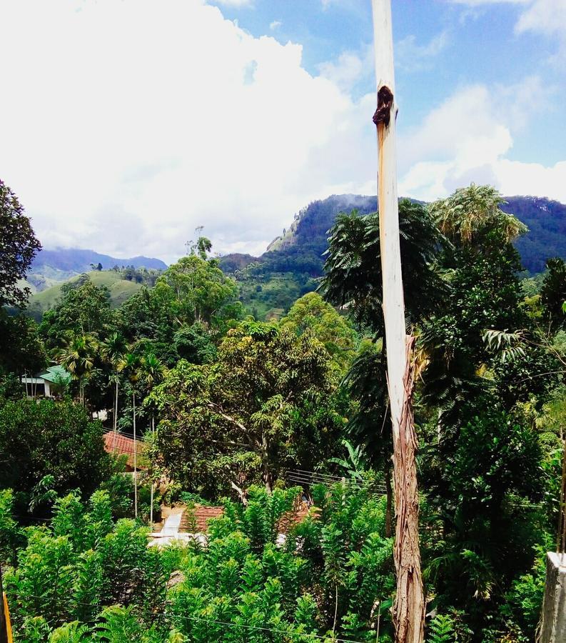 Homestay View & Restaurant