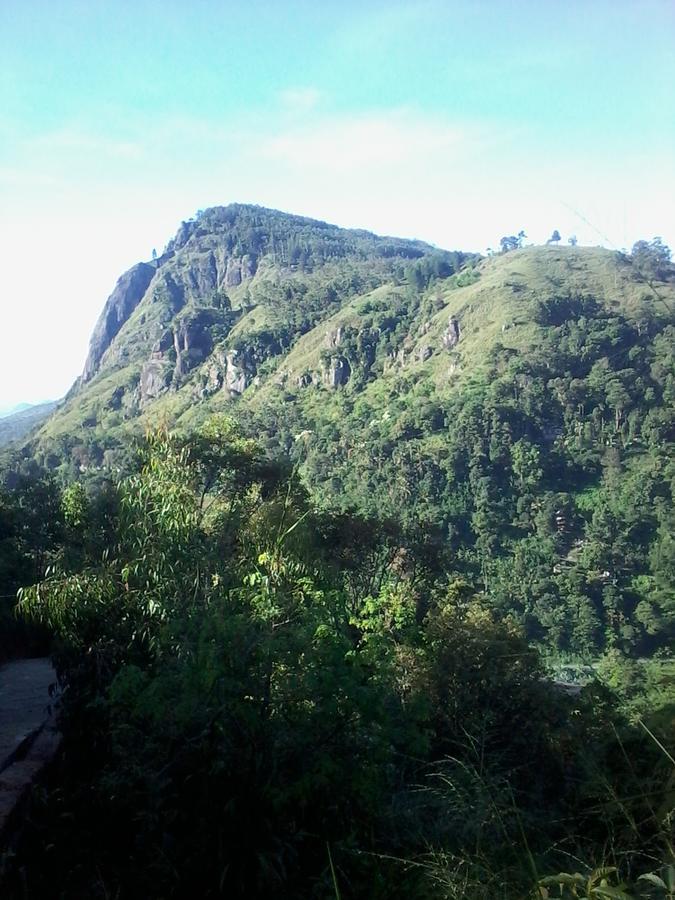 Homestay Udessa Rest *