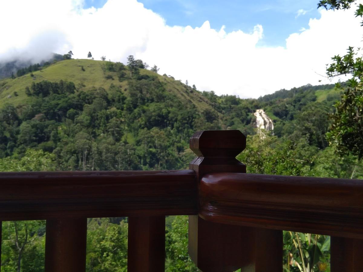 Brilliant View Homestay *