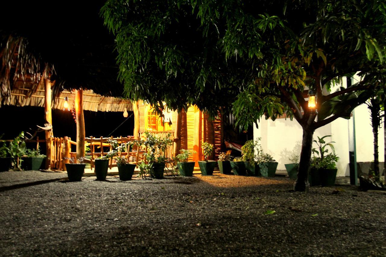Wildlife Village