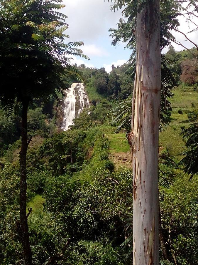 Homestay Nature's Glow And Restaurant