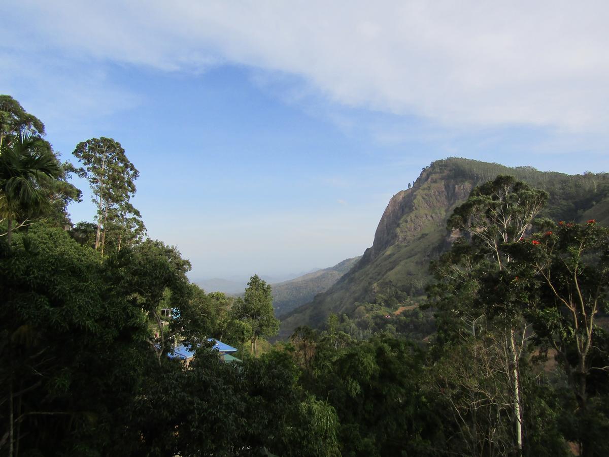 Homestay Village