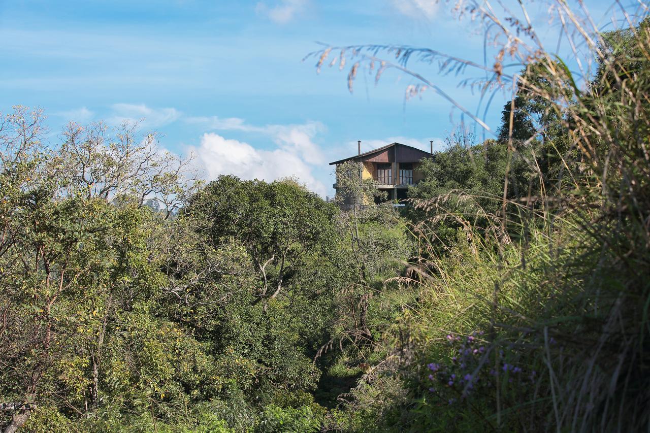 Villa Verde Ella Ella