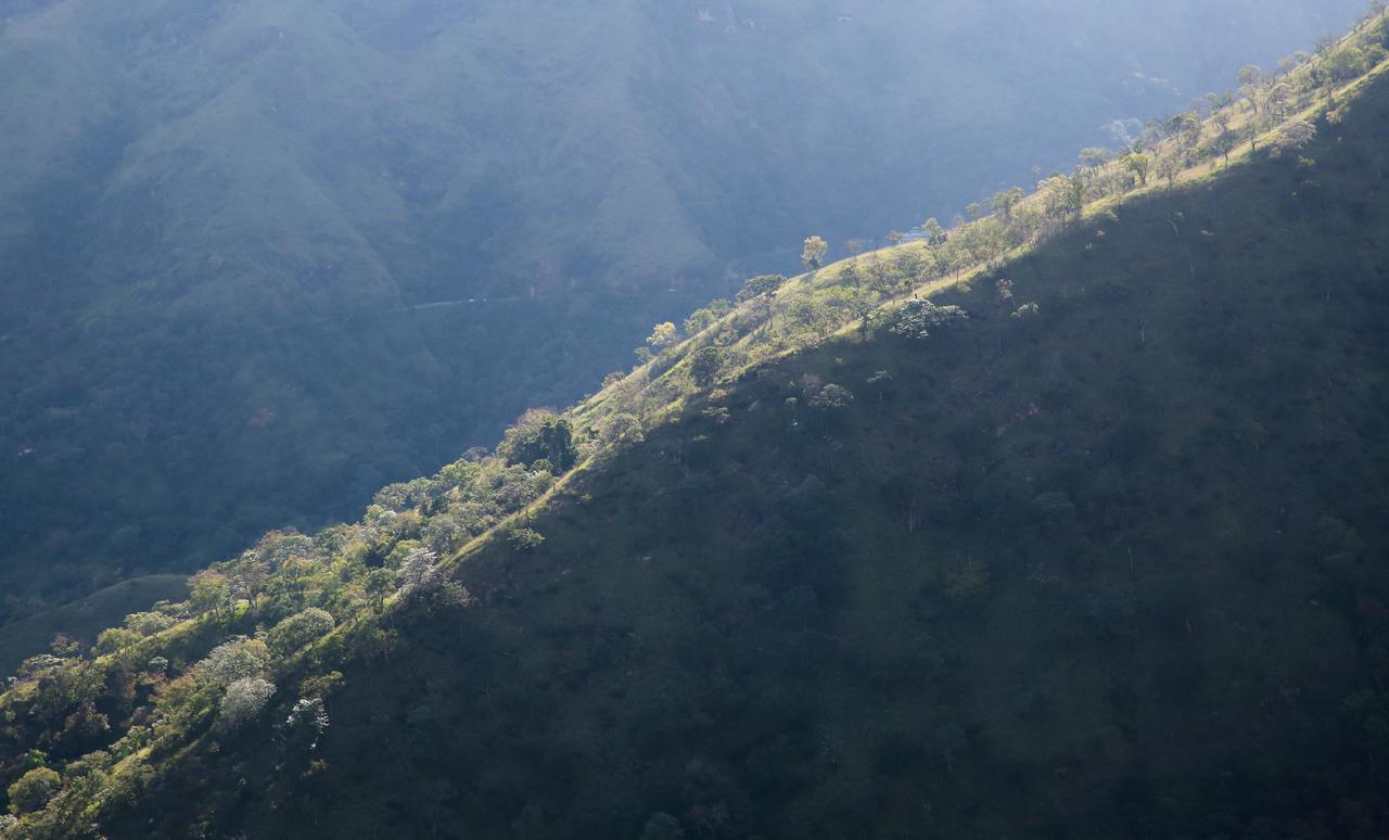 Villa Verde Ella *