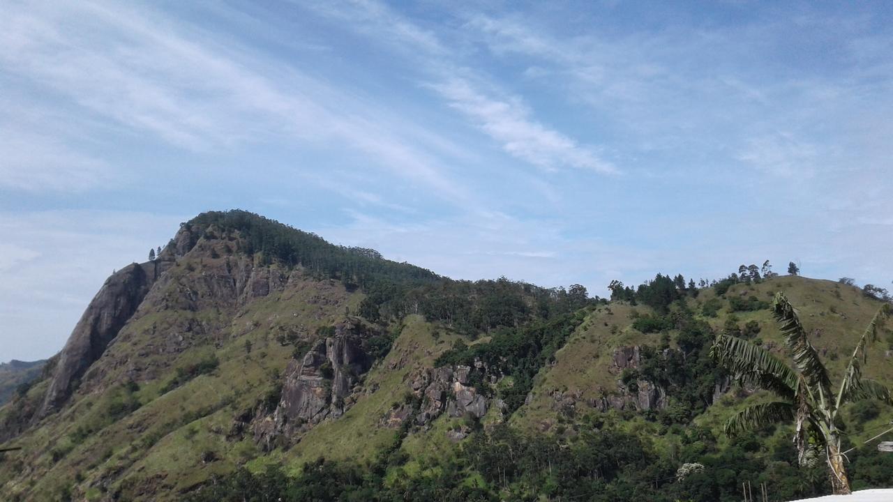 Homestay Jaye