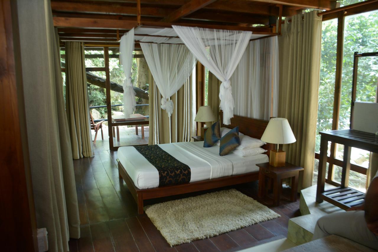 Jungle 3* Ella