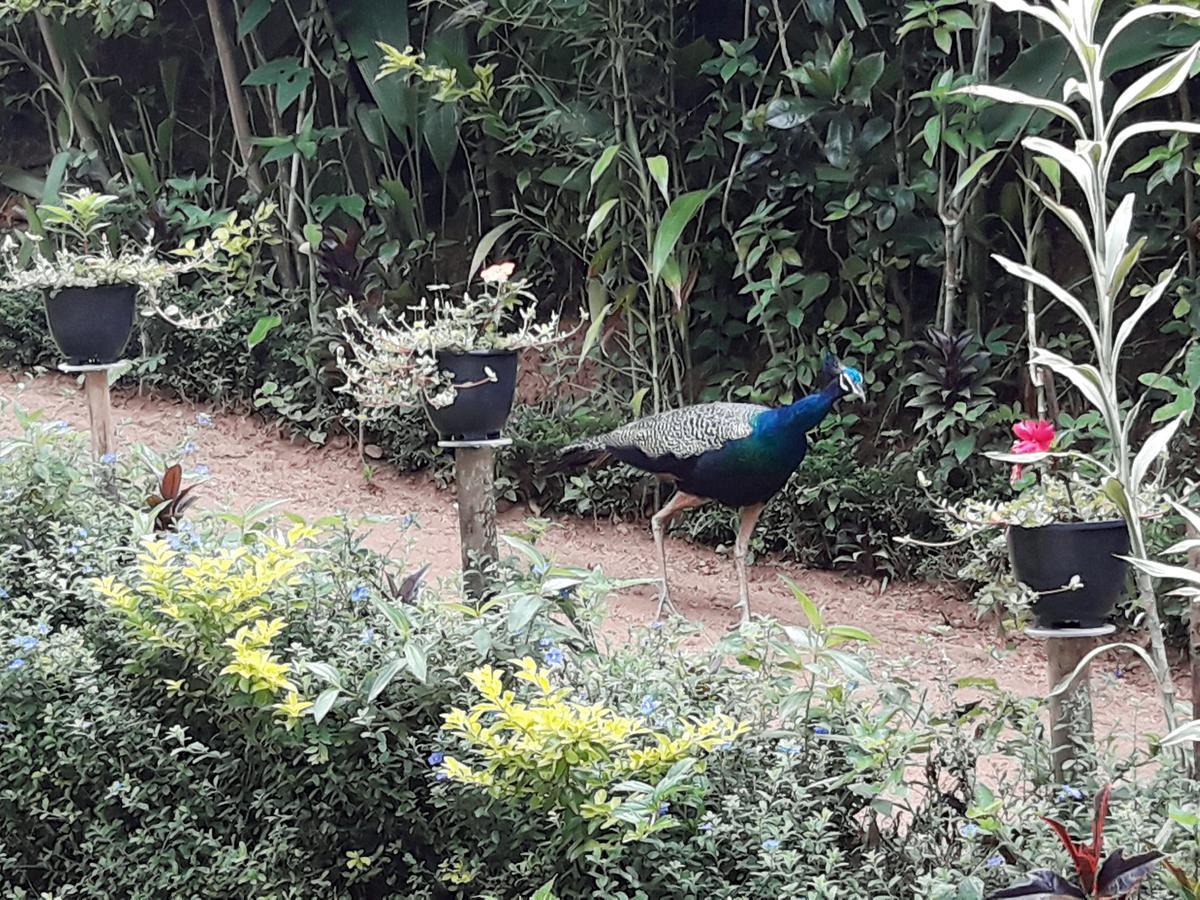 Secret Paradise Guest house