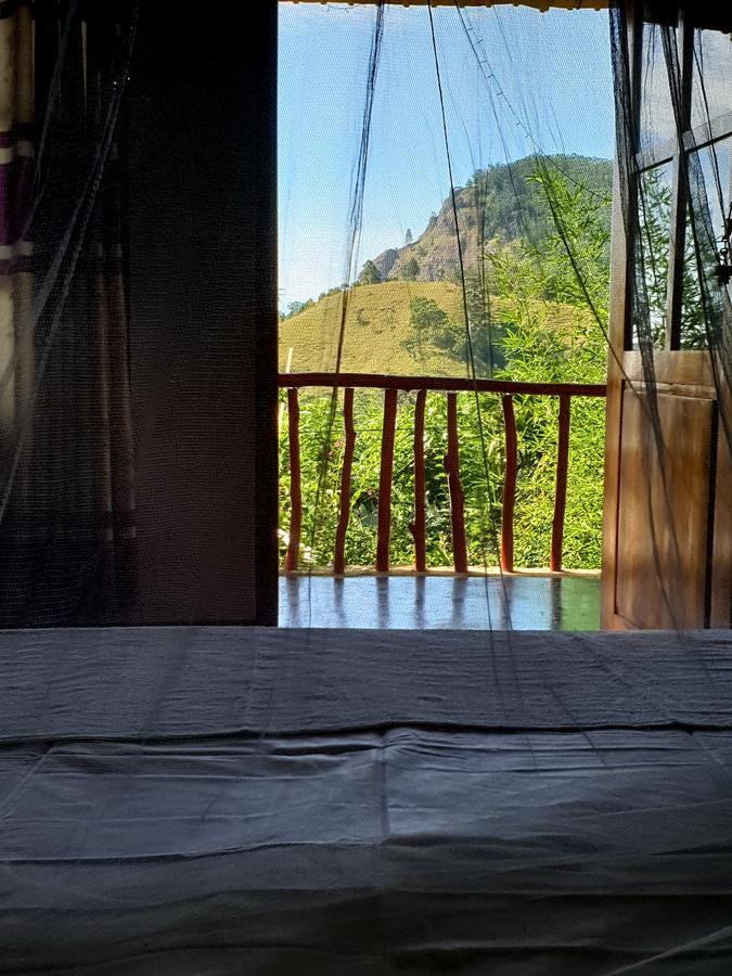 Bed & Breakfast Adannz