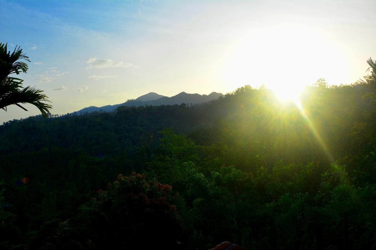Panorama Ella