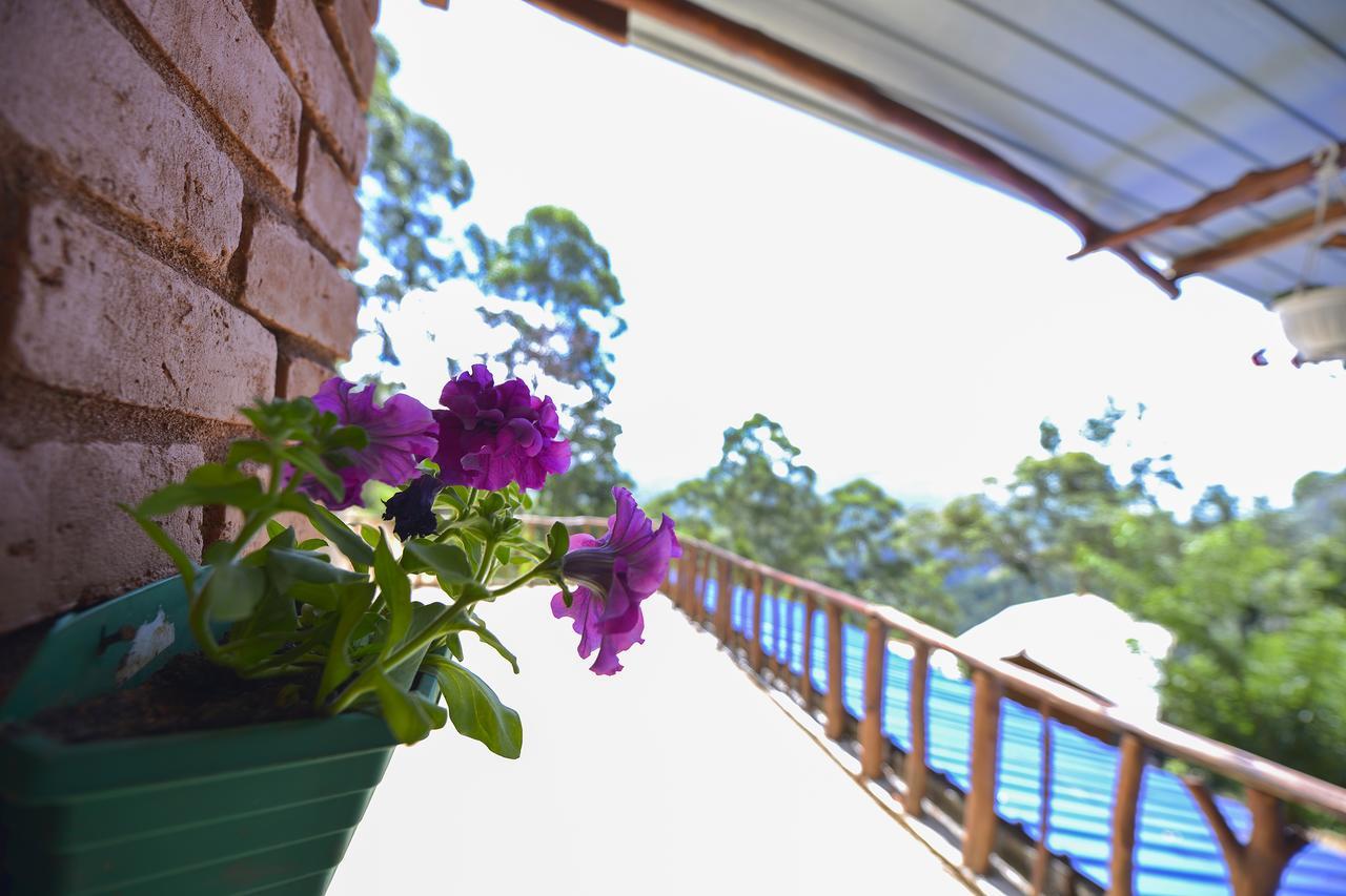 Homestay Apurvi