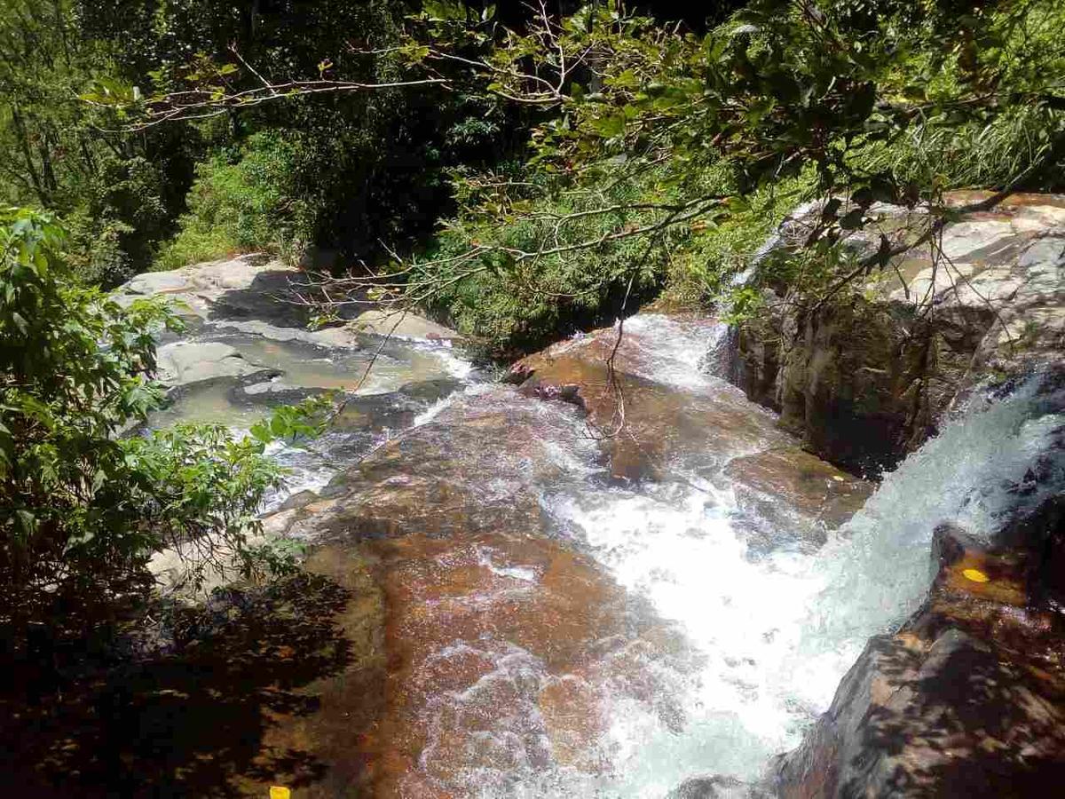 Homestay River Forest Nest Ella