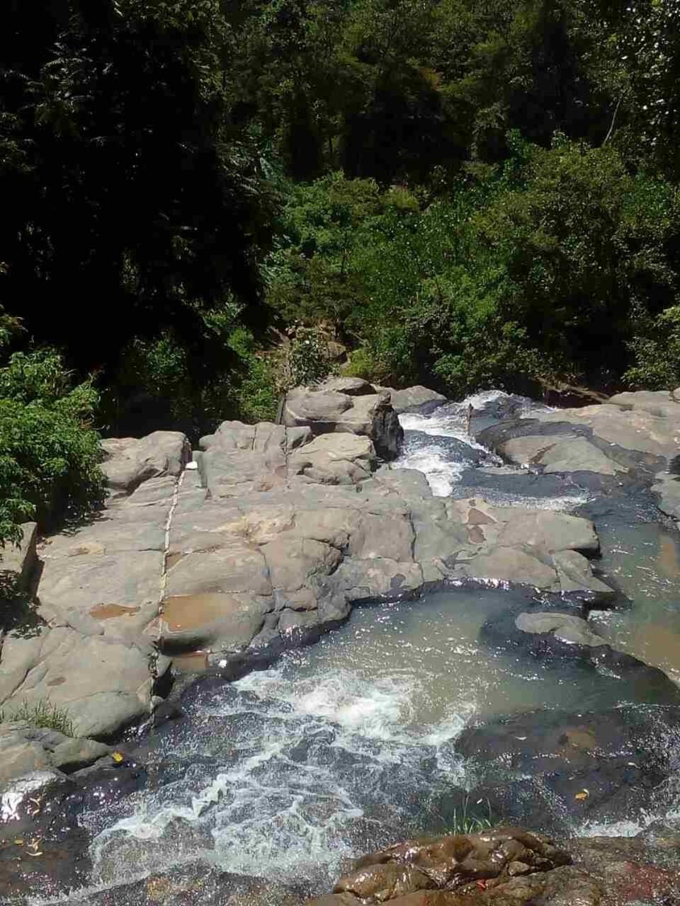River Forest Nest Homestay