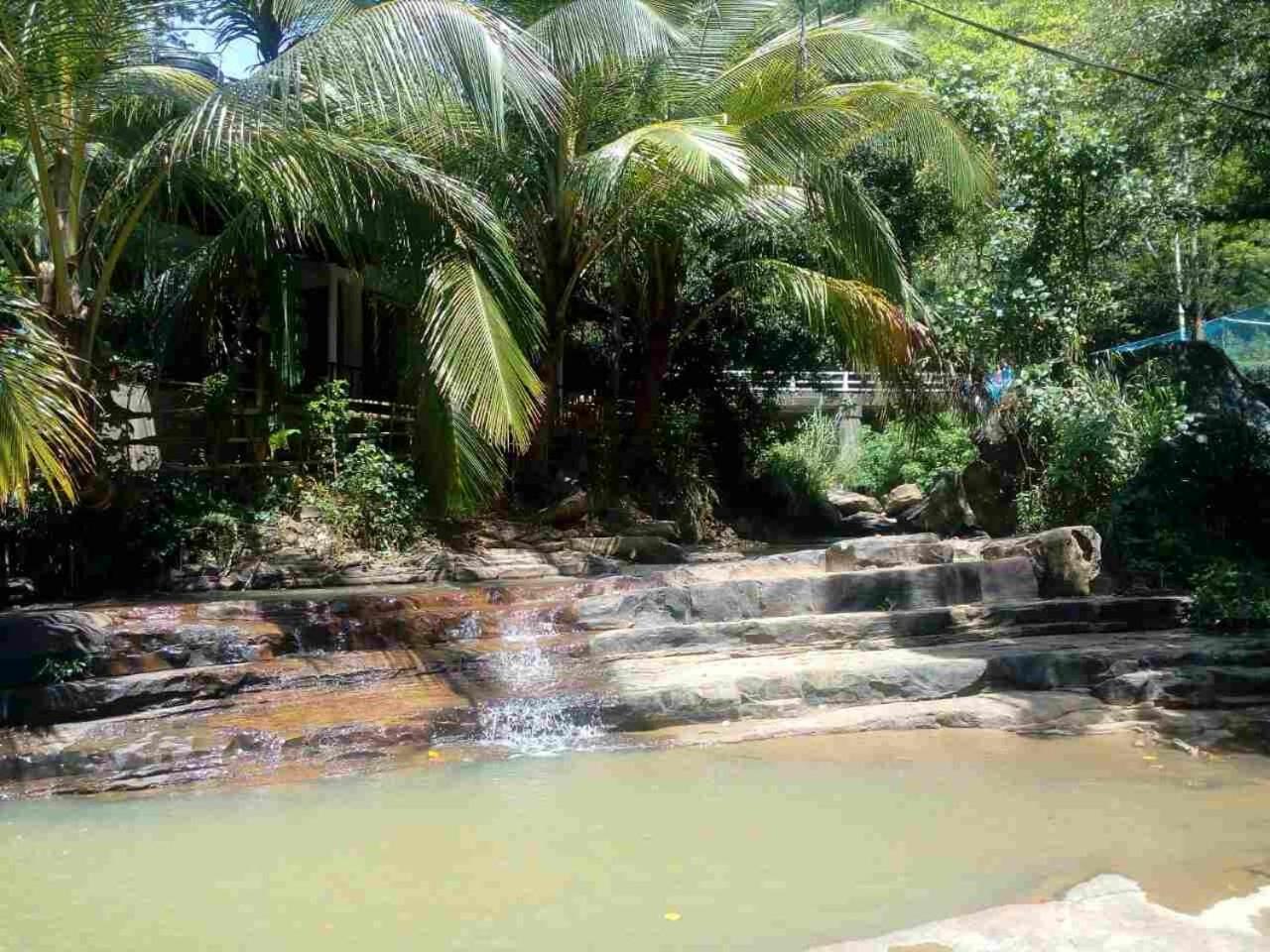 River Forest Nest Homestay