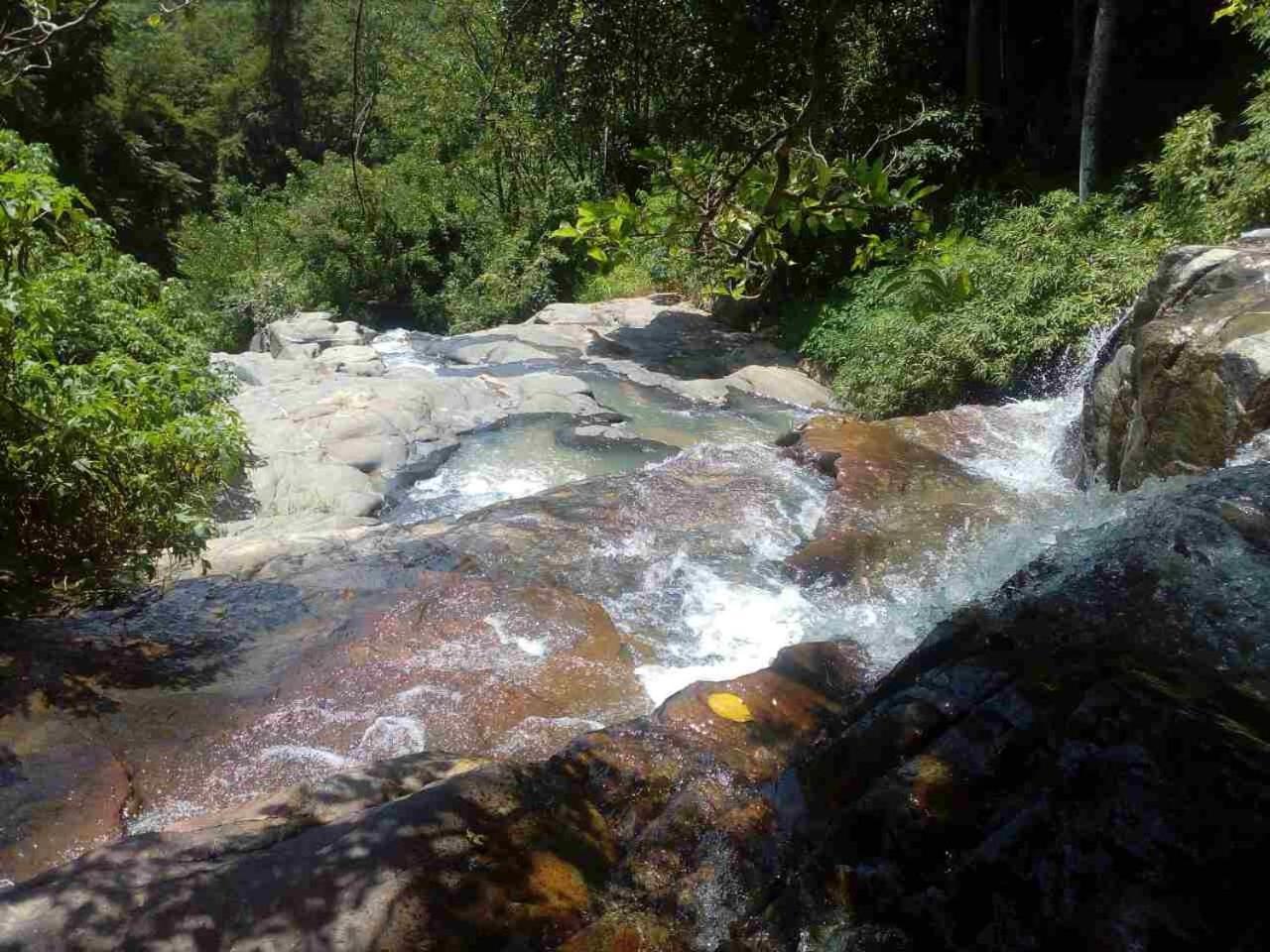 River Forest Nest Homestay