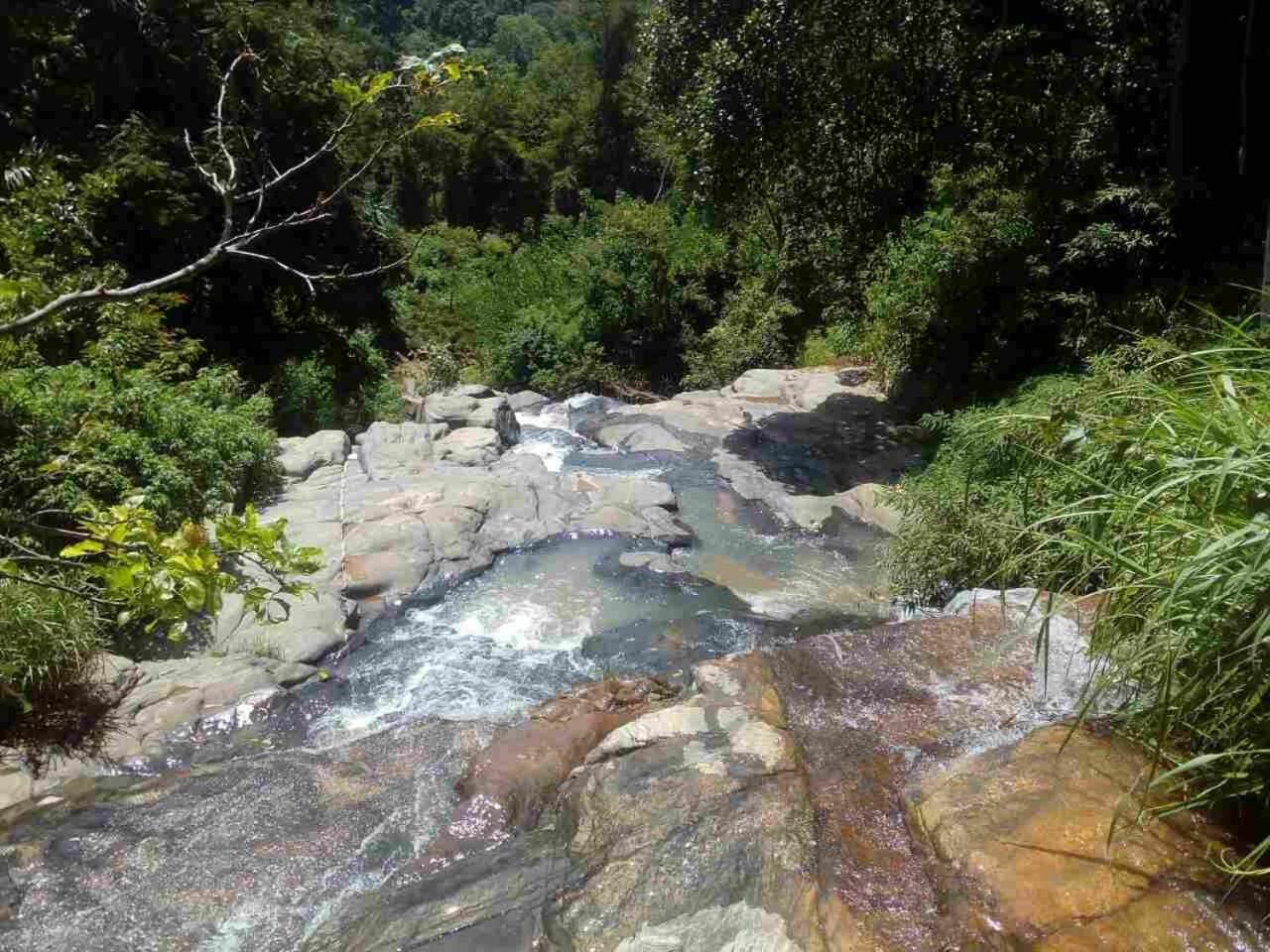 River Forest Nest Homestay *
