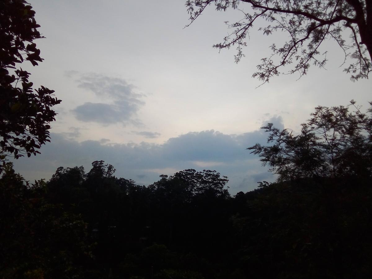 Windy Nest Homestay *