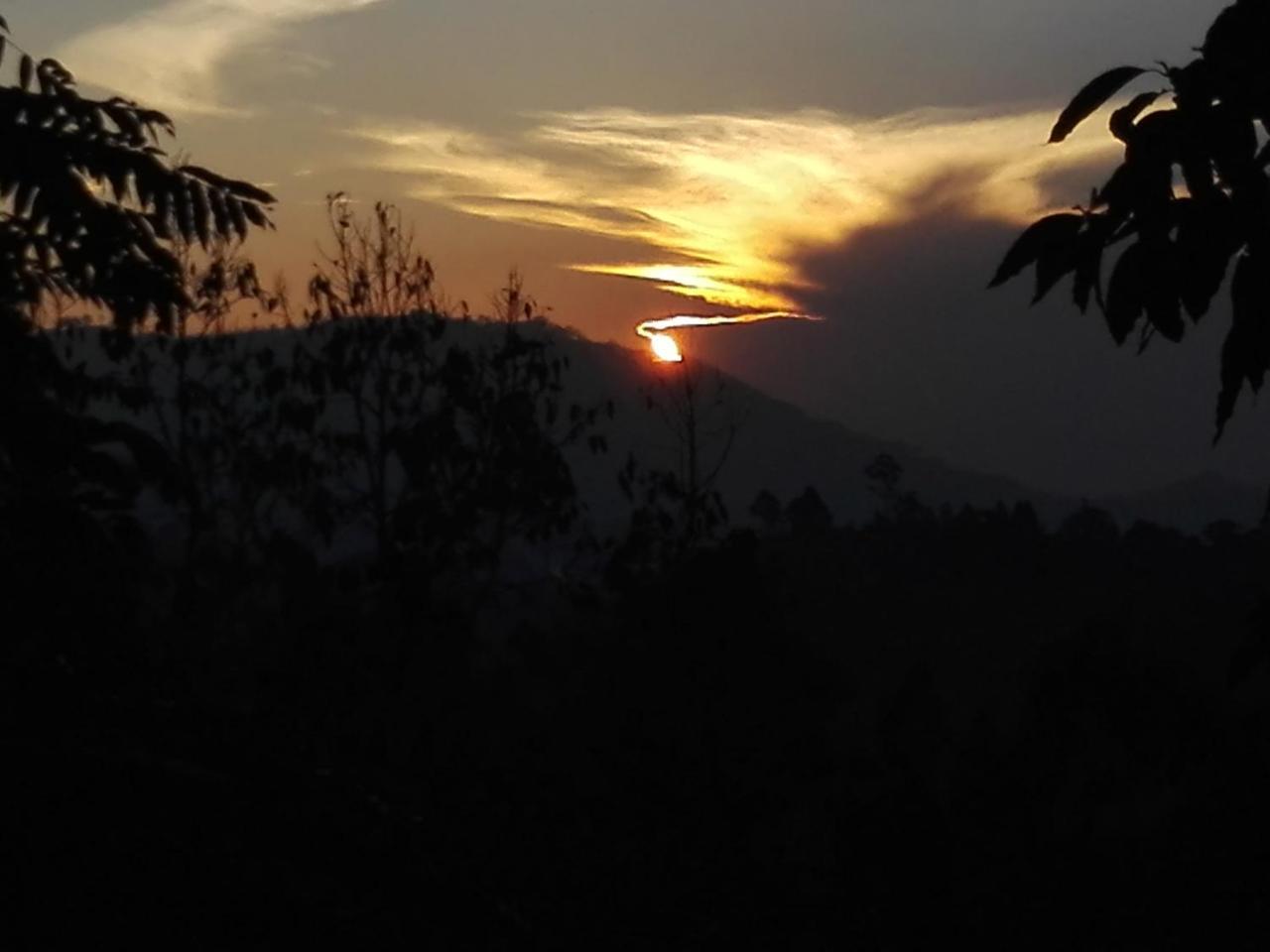 New View 3*