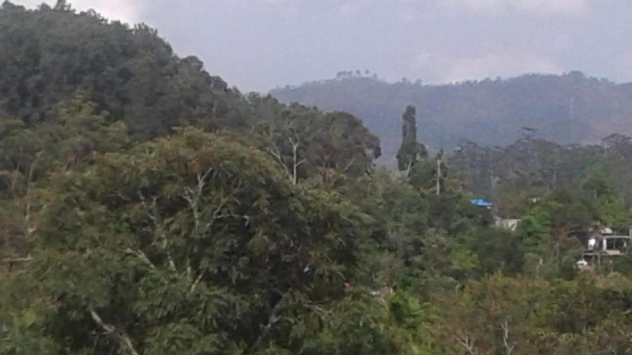 Homestay Joys