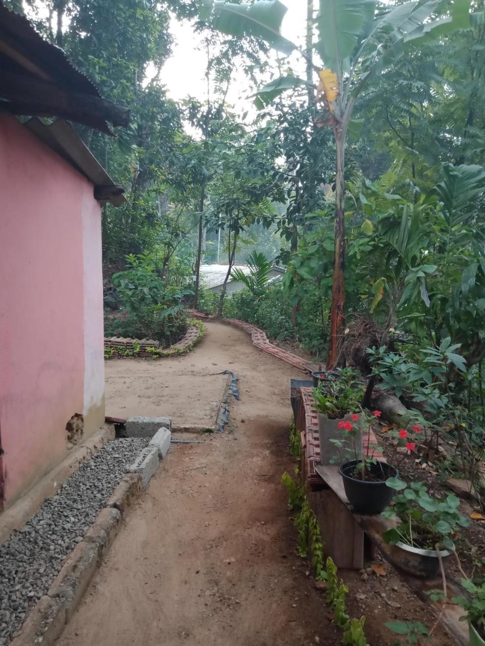 Damsen Homestay *