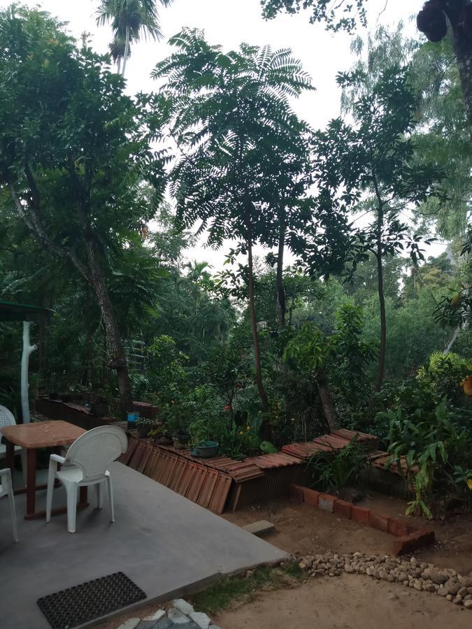 Damsen Homestay