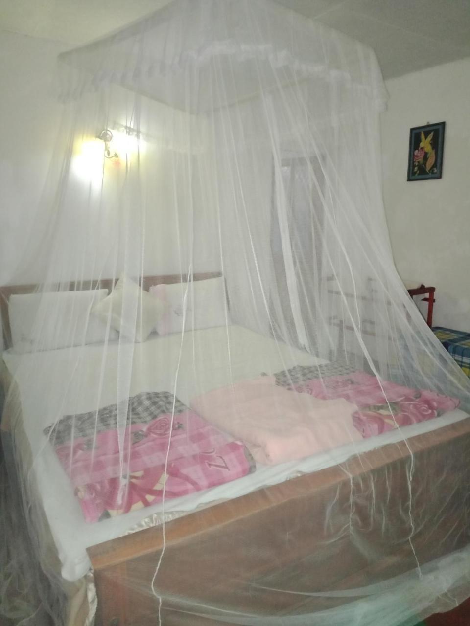 Homestay Damsen
