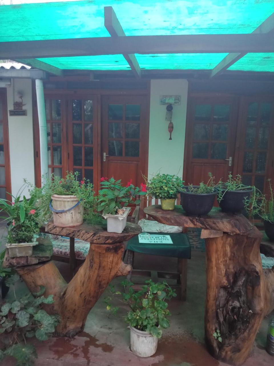 Homestay Damsen *