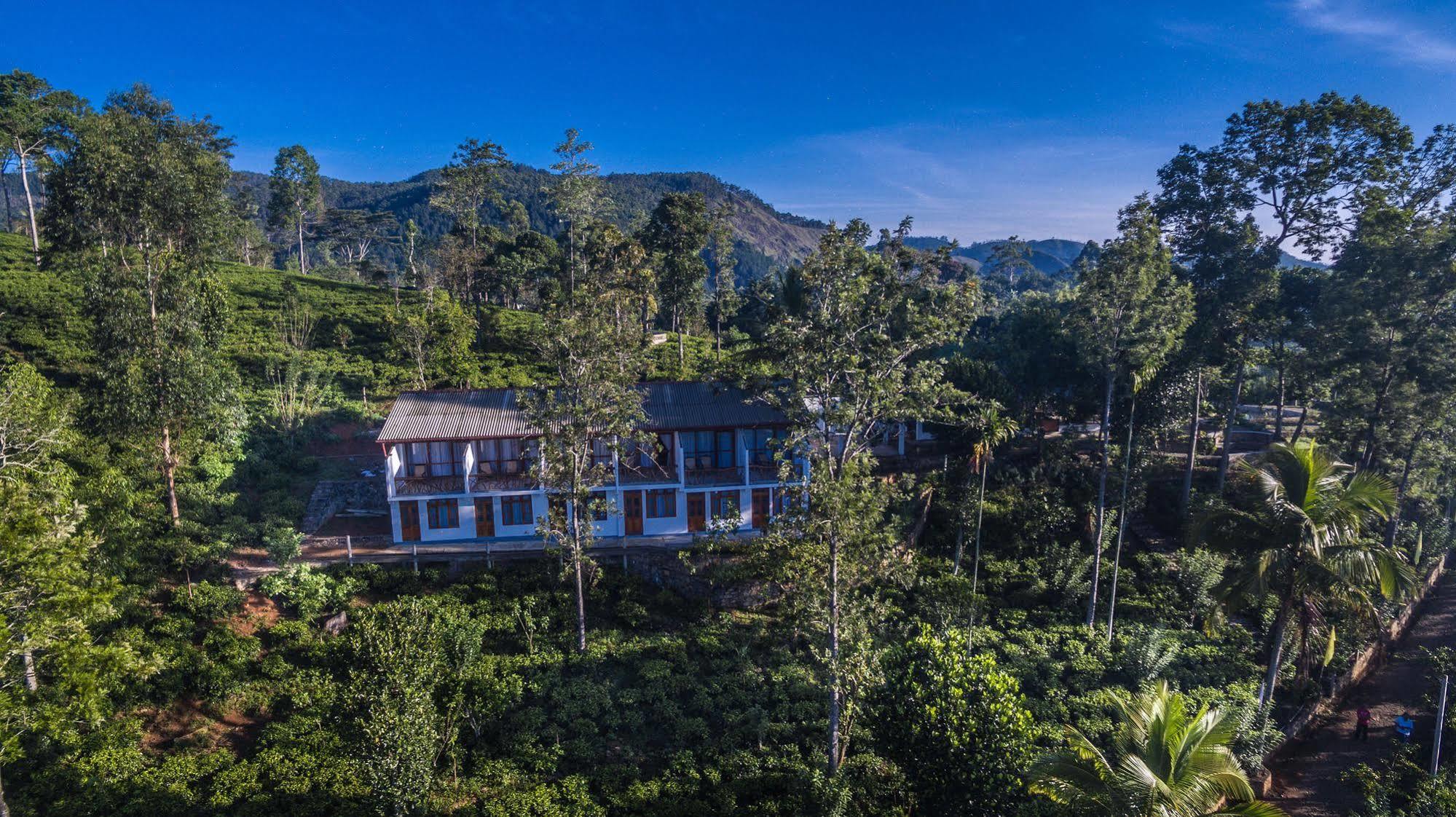 The Tea Tree 4* Ella
