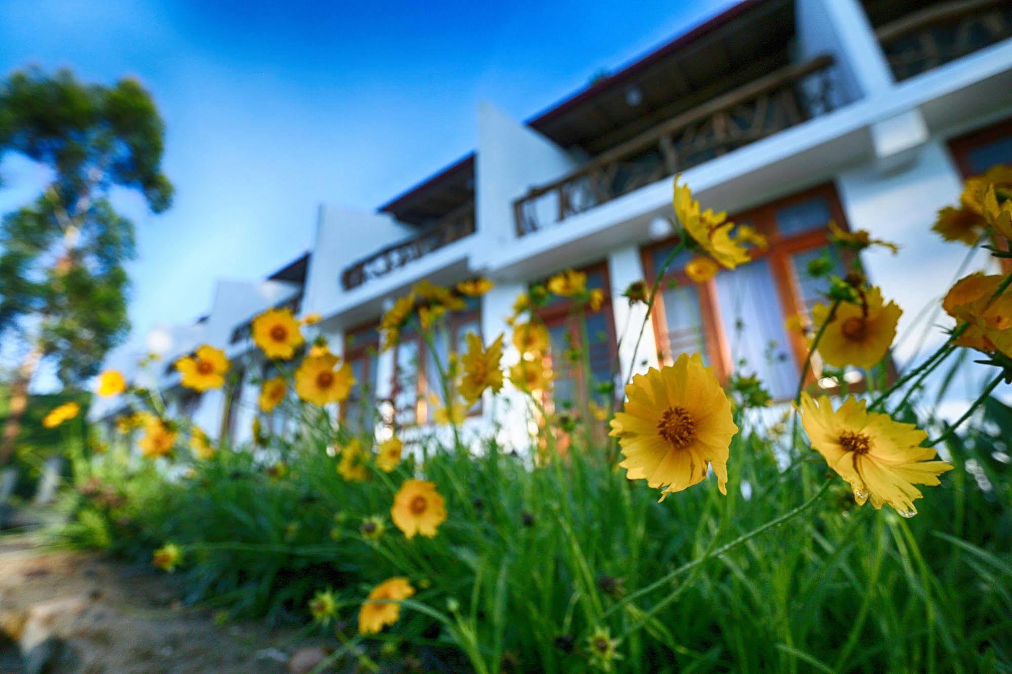The Tea Tree Resort