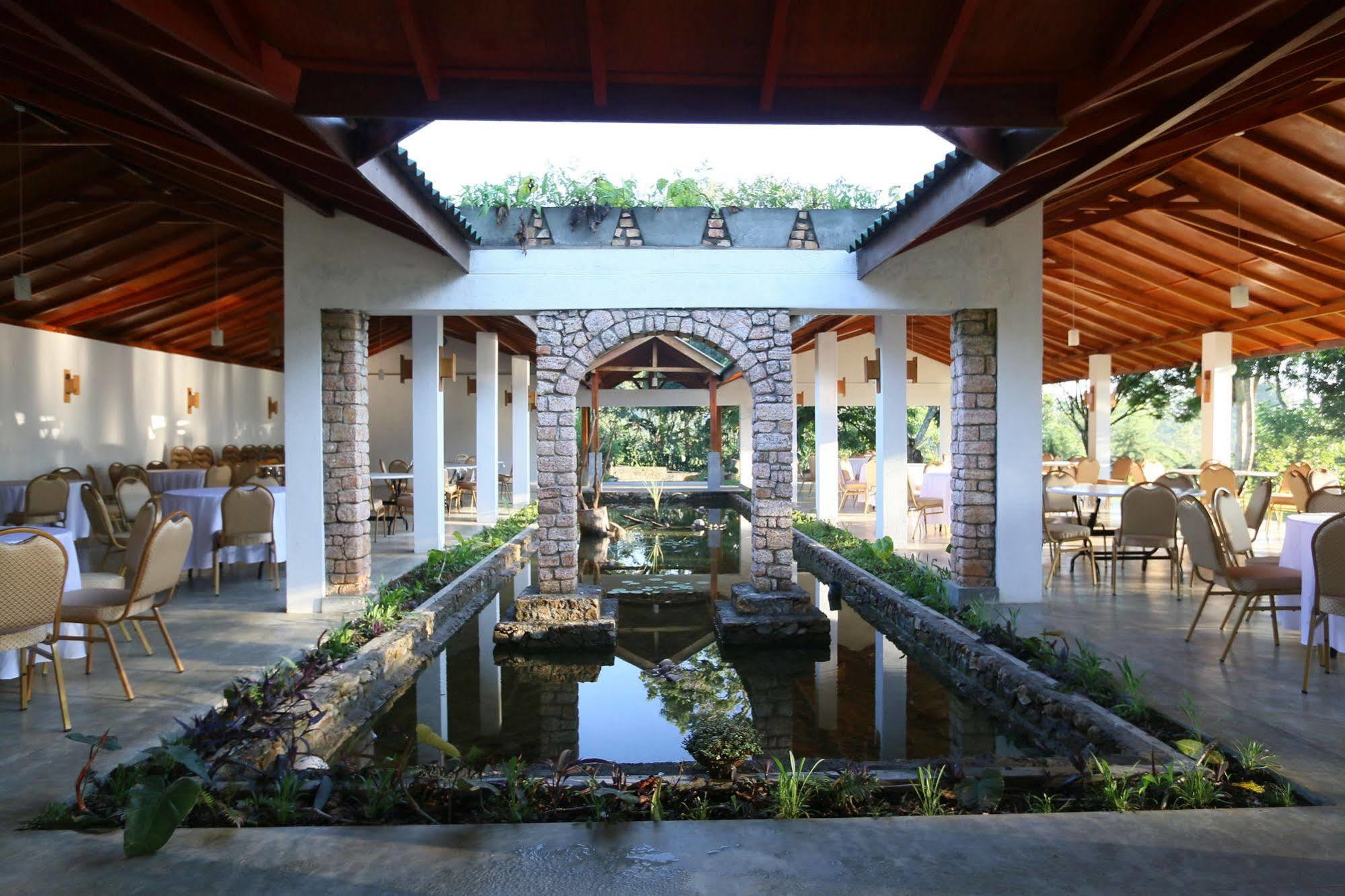The Tea Tree Resort