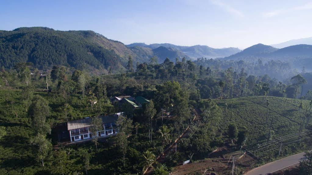 Resort The Tea Tree 4*
