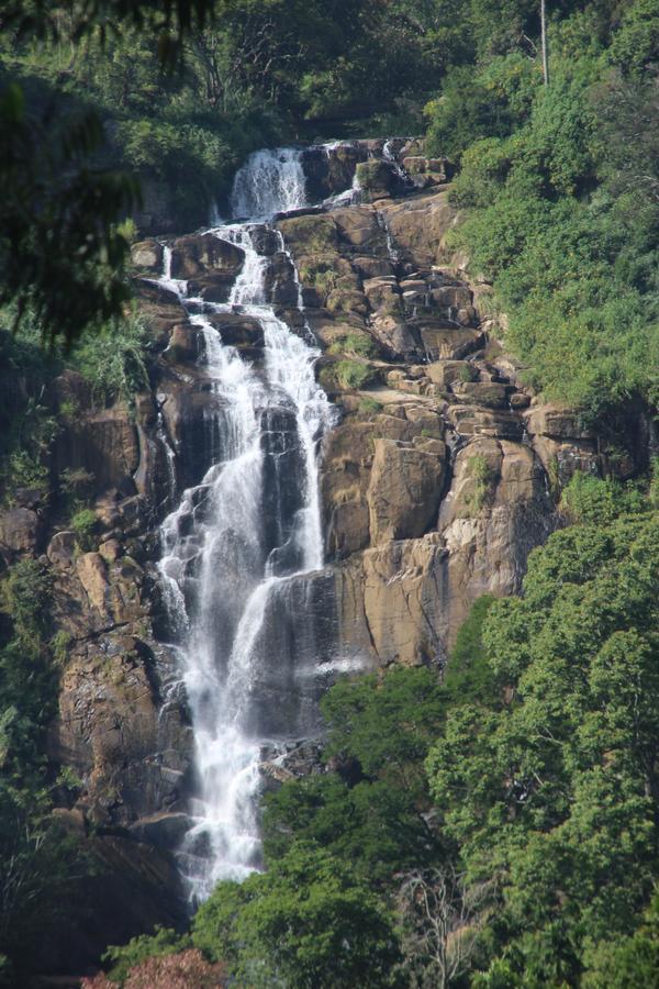Waterfall View Homestay