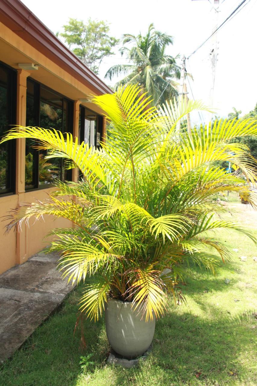 Guest house Anura Guest