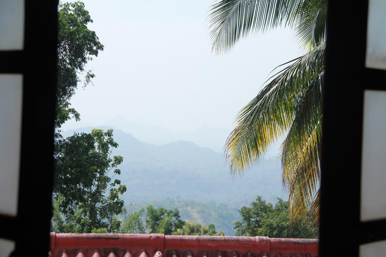 Anura Guest 3*