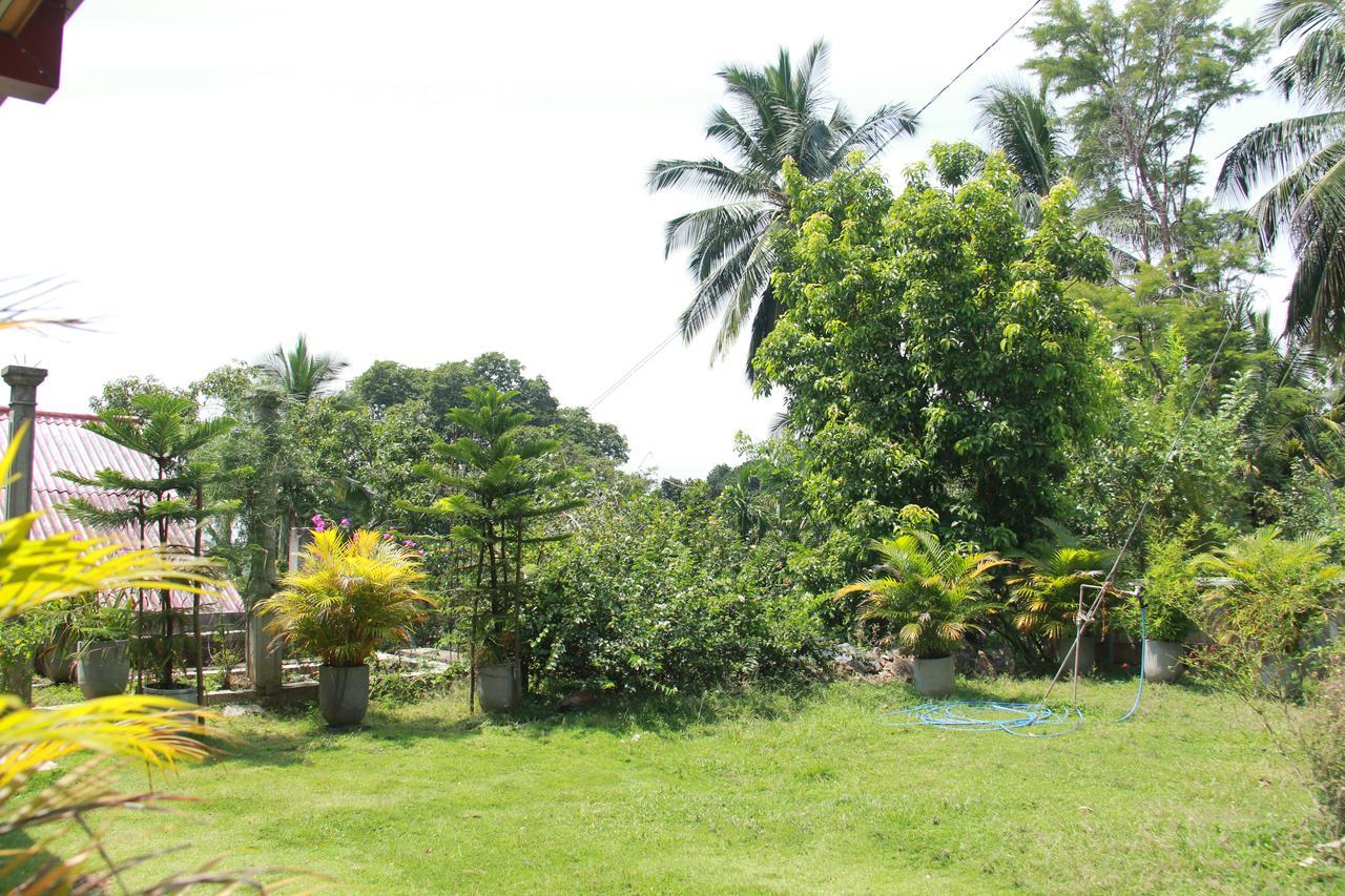 Anura Guest 3*