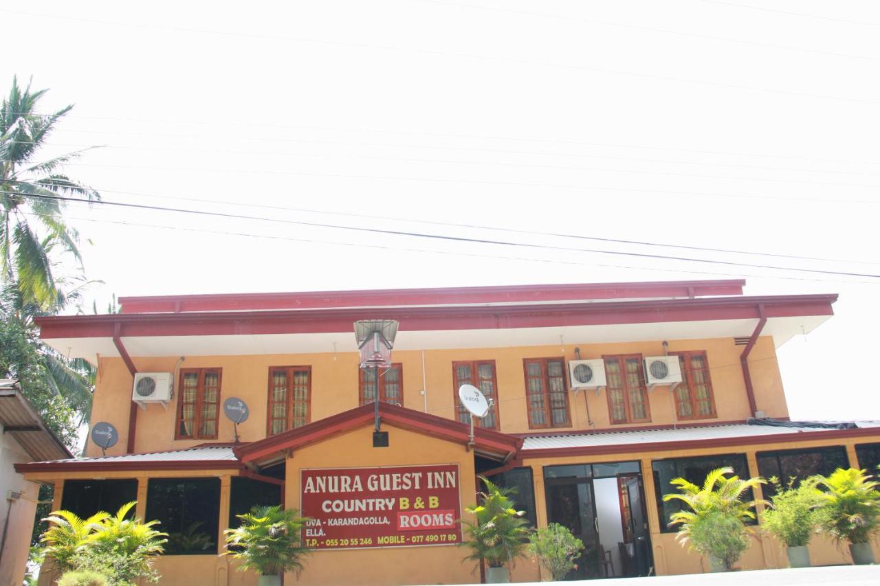 Anura Guest Ella