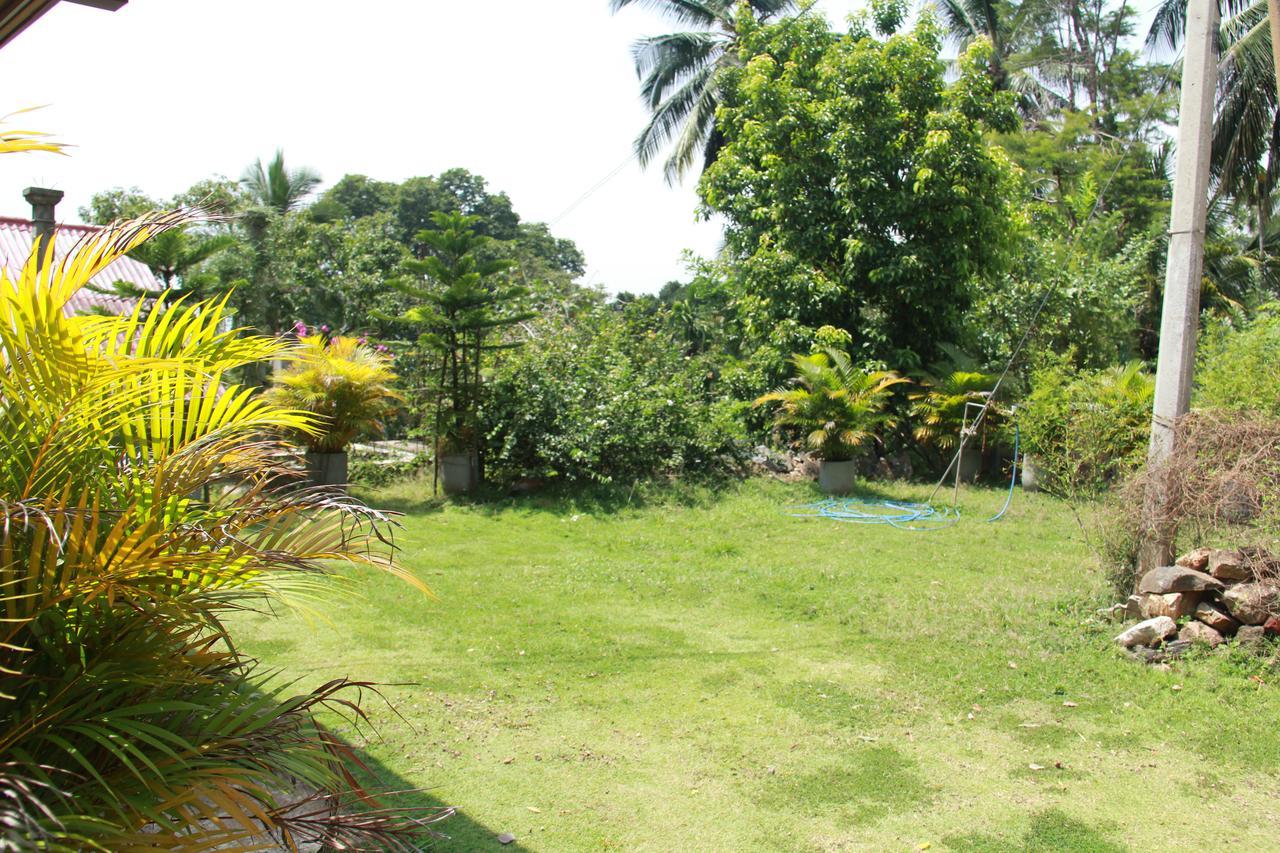 Anura Guest 3* Ella