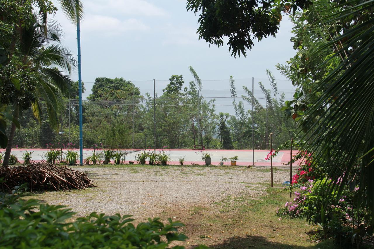 Anura Guest Guest house