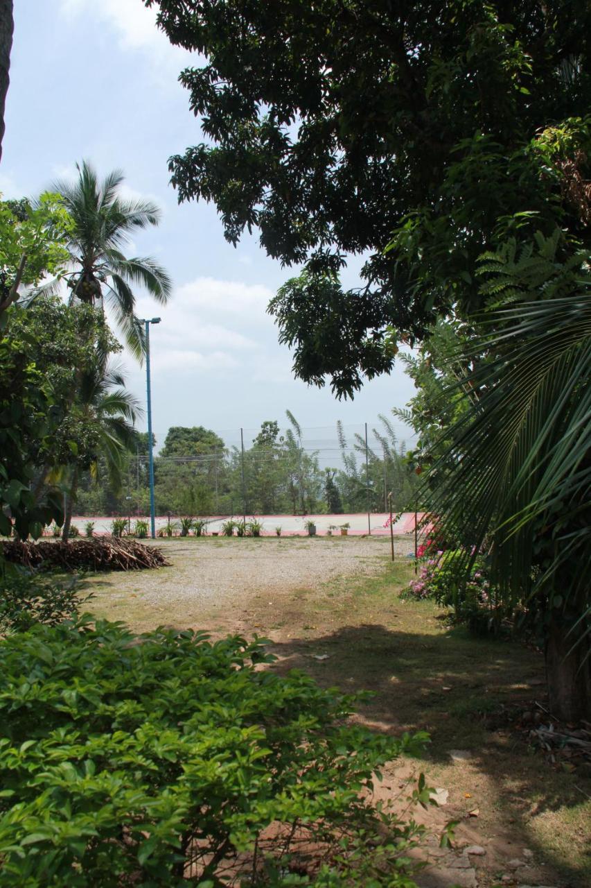 Anura Guest Guest house 3*