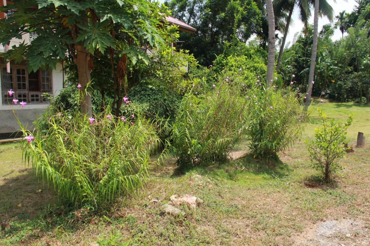 Guest house Anura Guest Ella